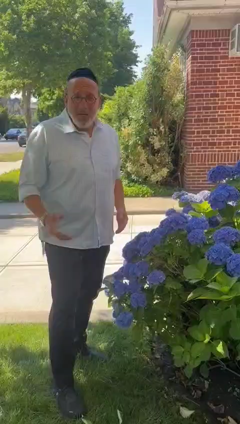 DO YOU SEE A FLOWER?